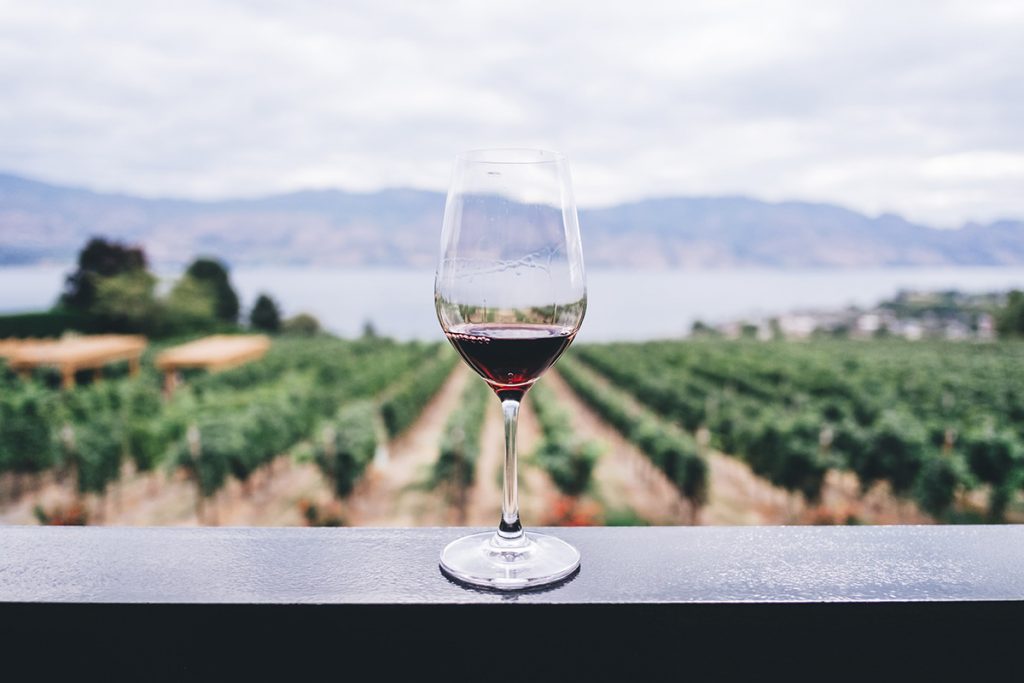bere vino
