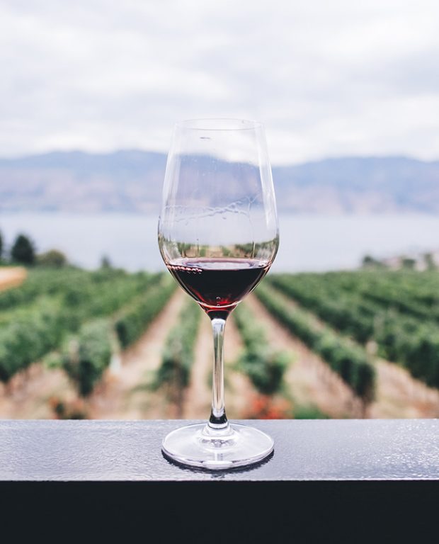 bere vino