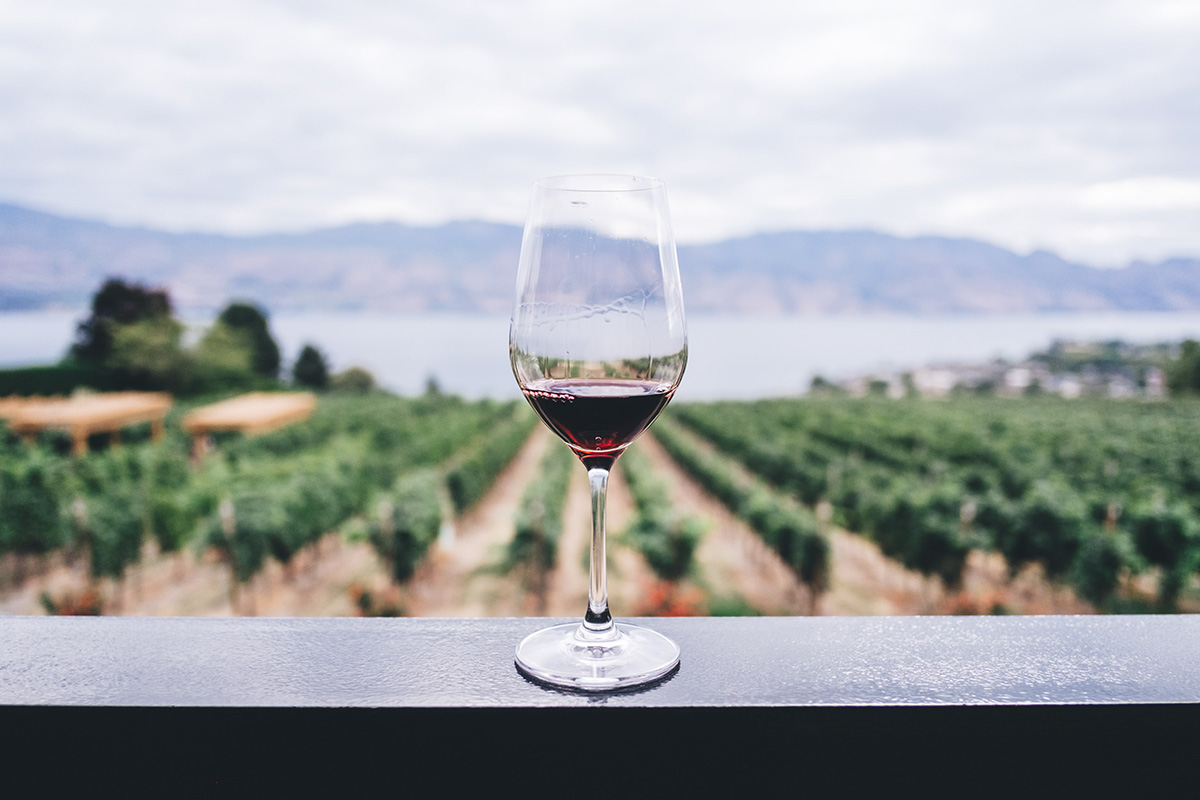 bere vino